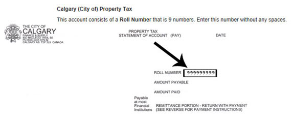 Property tax statement of account showing roll number