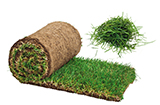 Grass Clippings Sod