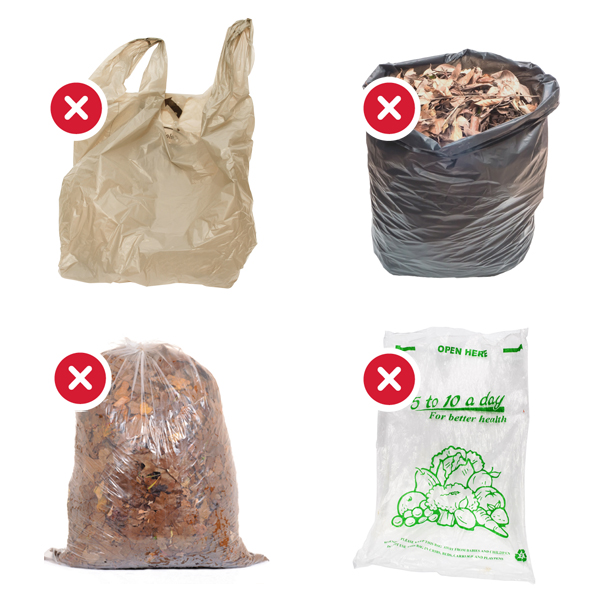 No Plastic Bags