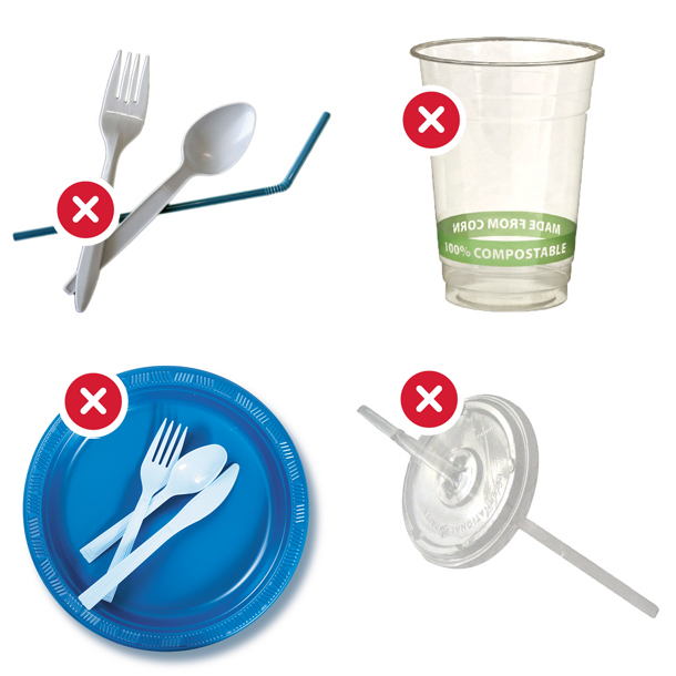 No Plastic Plates Cutlery