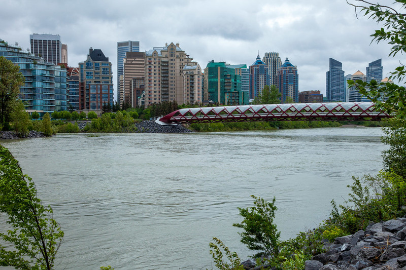 Bow river during high water, 2022