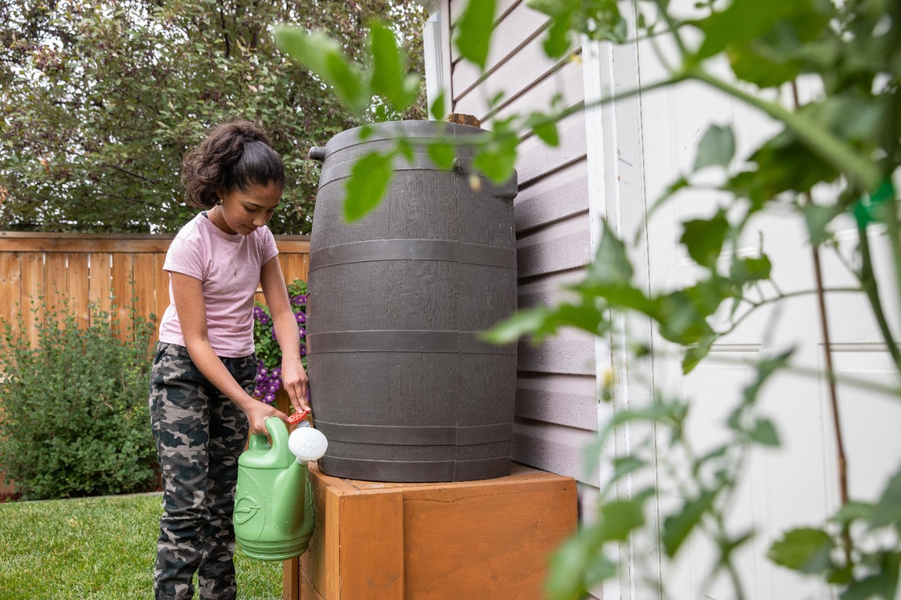 Young girl filling up a green watering can from a rain barrel