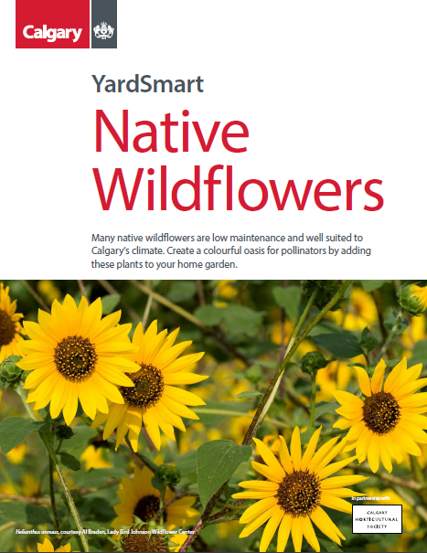 Click to download the YardSmart Native Wildflowers guide.