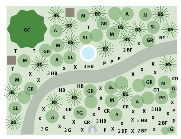 Grid layout of plants for a native wildflower garden bed